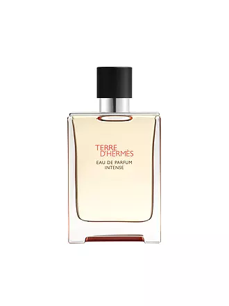 HERMÈS | Terre d'Hermès Eau de Parfum Intense Refillable 100ml | 